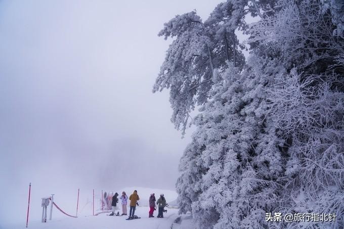 宜春行｜明月山冬日欢乐季滑最野的雪泡最爽的温泉